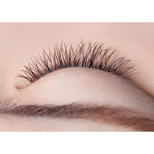 Missha No Retouch Corrective Mascara 9.5g, transparent, 1 piece Authentic K-Beauty